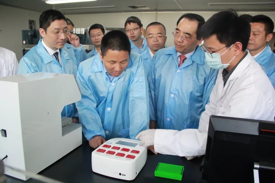 ������� �C �������,��������