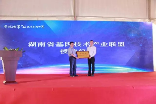 ������� �C �������,��������