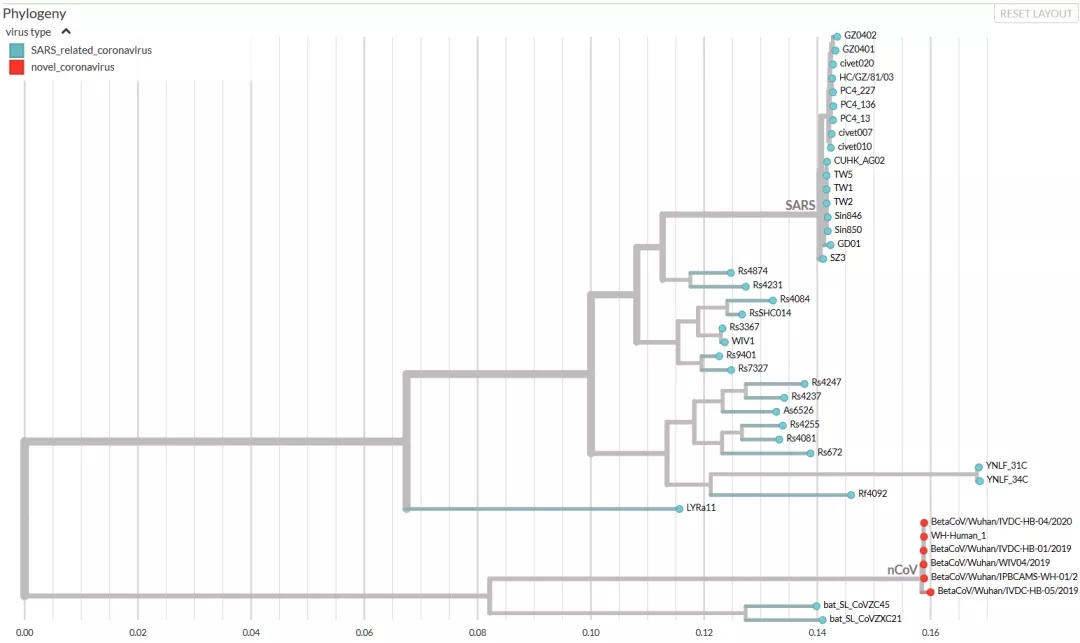 ������� �C �������,��������