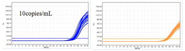20210205103132881 ÖÁ×ð¹ú¼Ê ¨C ÖÁ×ð·þÎñ,ÖÁ×ðÏíÊÜ